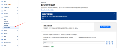 Cloudflare SaaS 自定义回源 教程